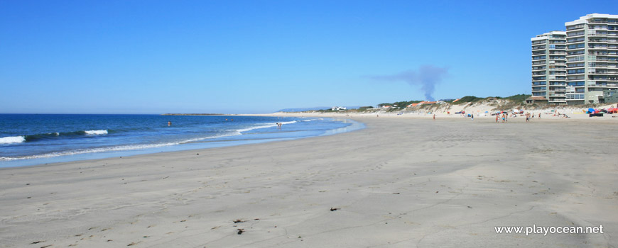 North at Praia de Ofir Beach