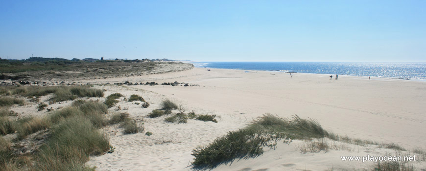 South at Praia da Ramalha Beach