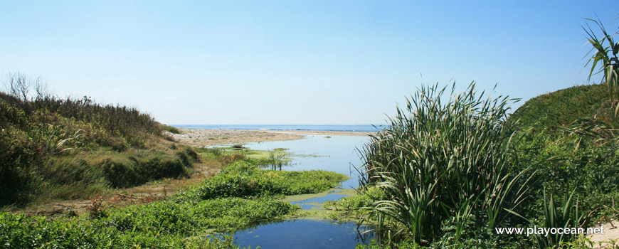 Ribeira do Peralto