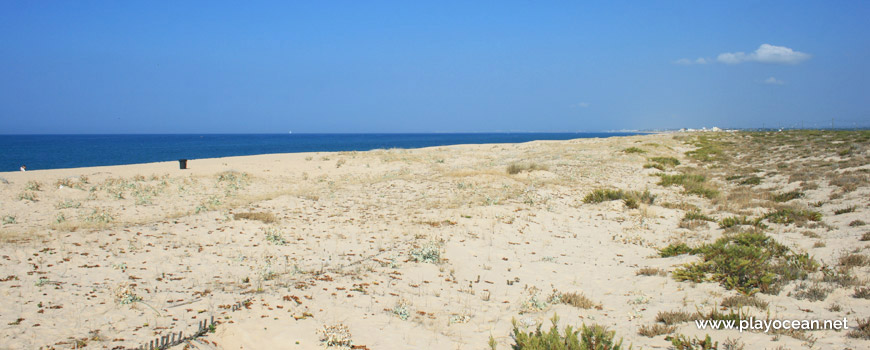 Dune system of Praia de Faro (East) Beach