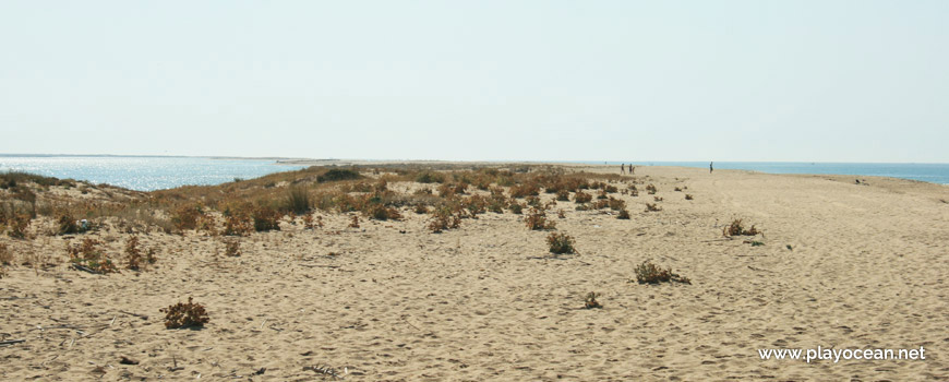 Dunas na Praia de Faro (Este)