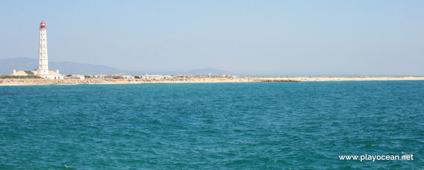 Panorâmica da Praia da Ilha do Farol (Mar)