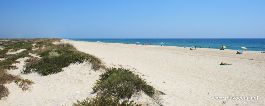 Praia da Ilha do Farol (Sea) Beach, from the dunes