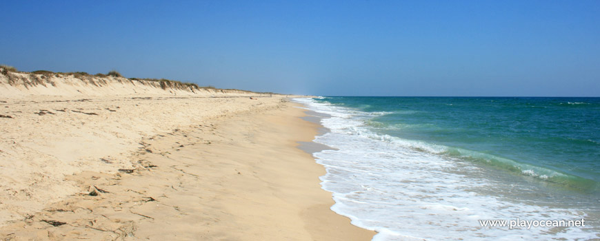 Este na Praia da Ilha do Farol (Mar)