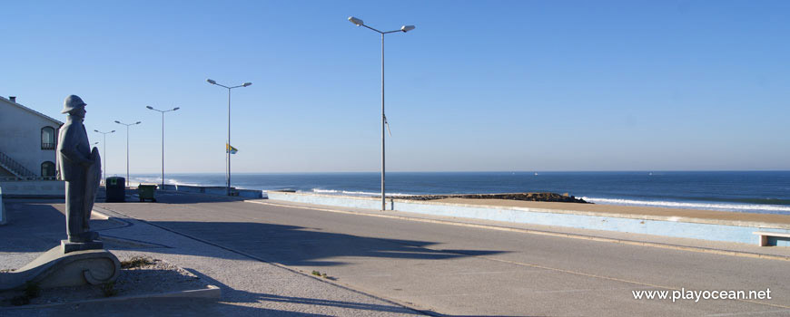 Cod Fisherman of Costa de Lavos