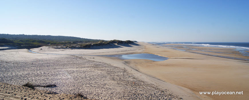 Ribeiro na Praia da Costa de Lavos