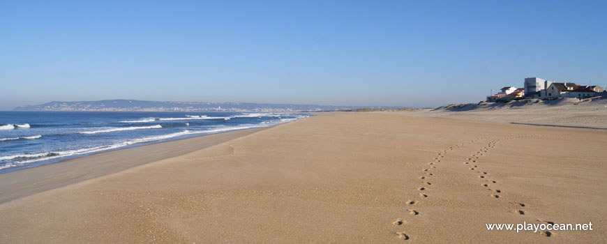 North at Praia da Costa de Lavos Beach