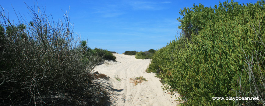 Path to Praia da Costinha Beach