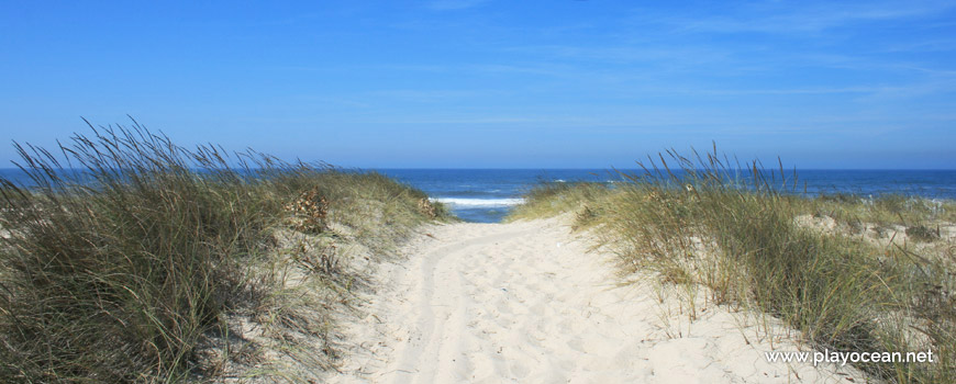 Duna na Praia da Costinha