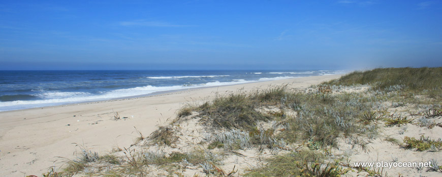 Praia da Costinha Beach