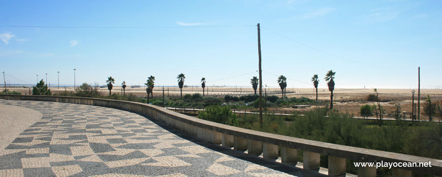 Palmeiras, Praia do Alto do Viso