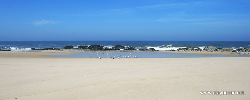 Rocks at Praia da Laje do Costado Beach