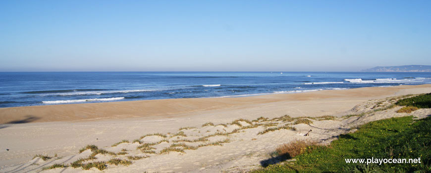 Praia da Leirosa Beach