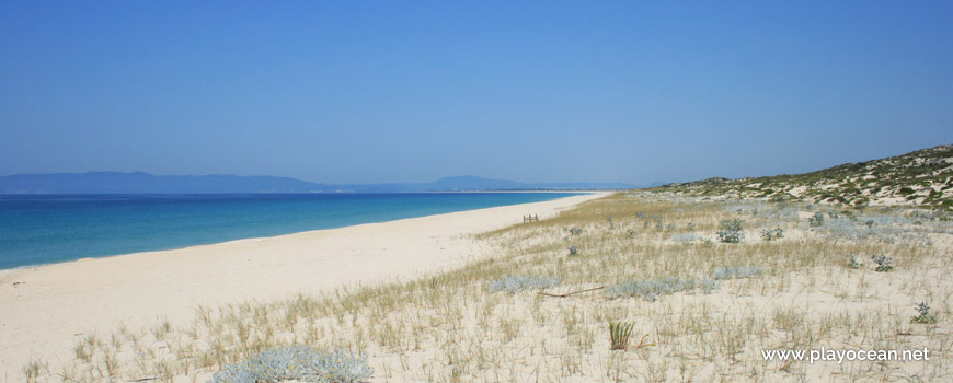 Norte da Praia da Malha da Costa