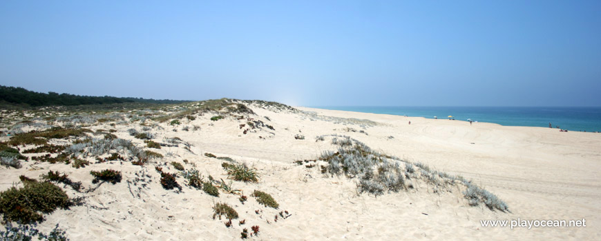 North of Praia de Melides Beach