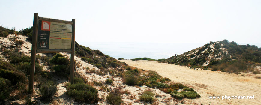 Dune trail to Praia do Pinheirinho Beach