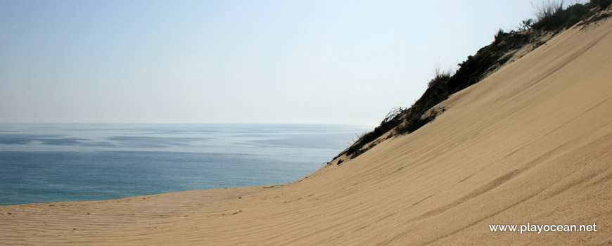 Dune system