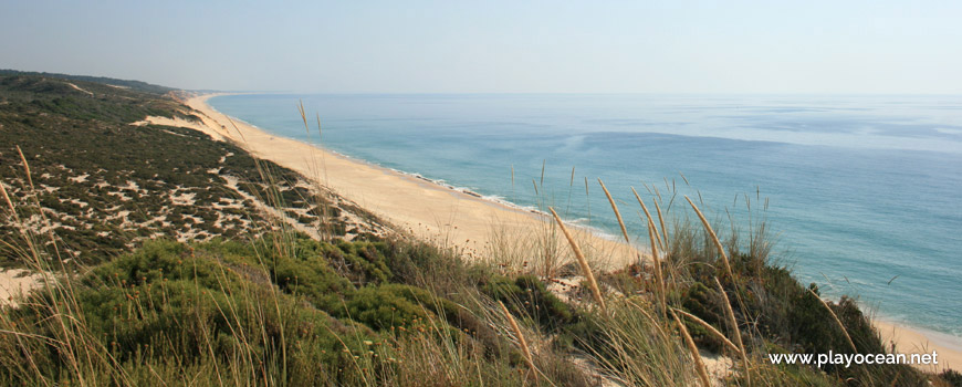 South Praia do Pinheirinho Beach