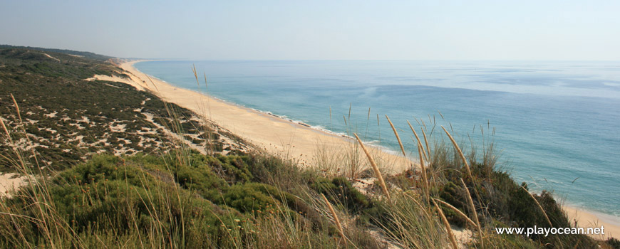 Sul Praia do Pinheirinho