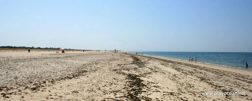 Praia da Questa Beach