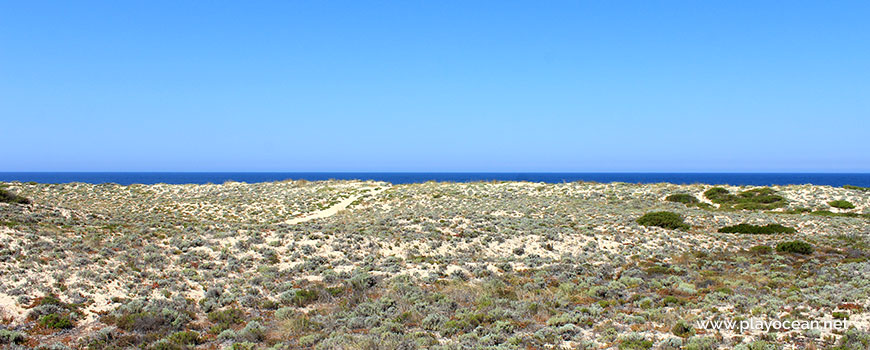 Dunes at Praia da Sesmaria Beach