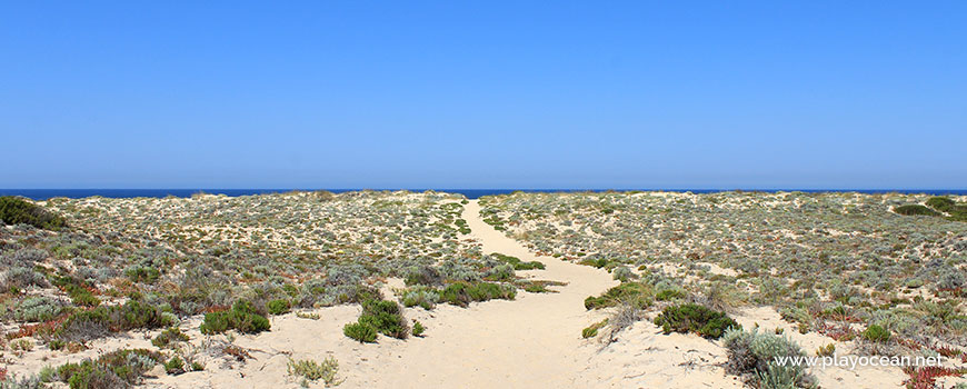 Trail to Praia da Sesmaria Beach