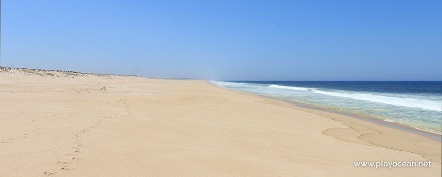 South at Praia da Sesmaria Beach