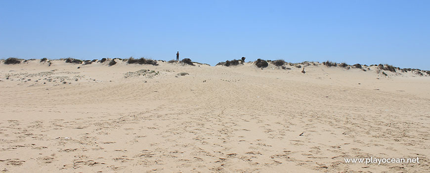 Dune at Praia da Sesmaria Beach