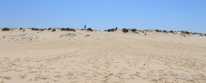 Duna na Praia da Sesmaria