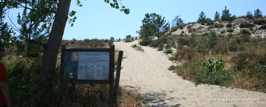 Beginning of dune at Praia da Torre Beach