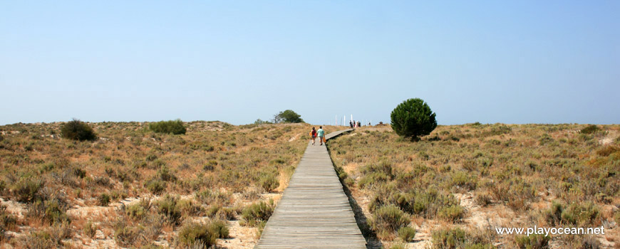 Walkway at Praia de Tróia-Bico das Lulas Beach