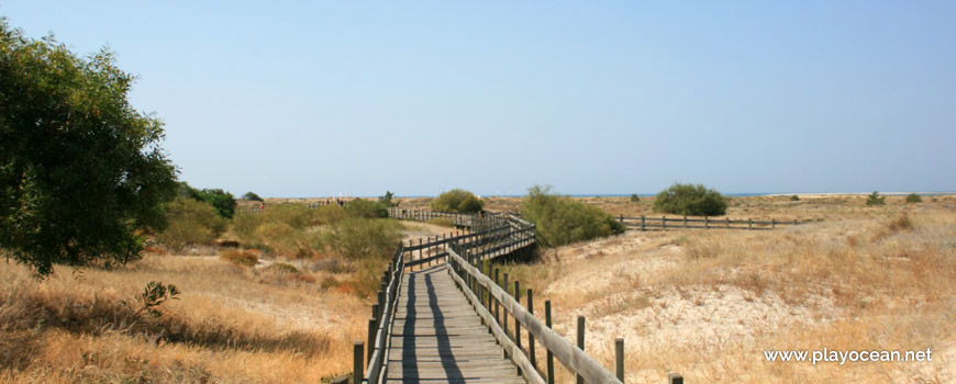 Praia de Tróia (Sea) pedestrian access