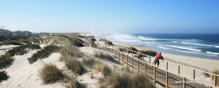 Dunes at Praia Nova Beach