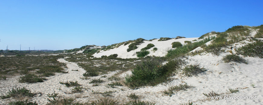 Dunas na Praia da Barrqa (Sul)