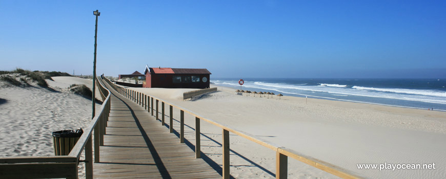 Bar at Praia da Barra (South) Beach