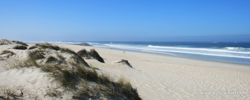 Dunas, Praia da Barra (Sul)