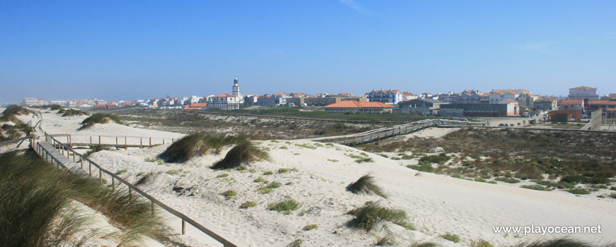 Dunas na Praia da Costa Nova (Sul)