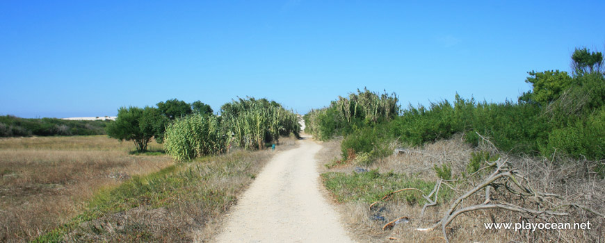 Road to Praia da Costinha Beach