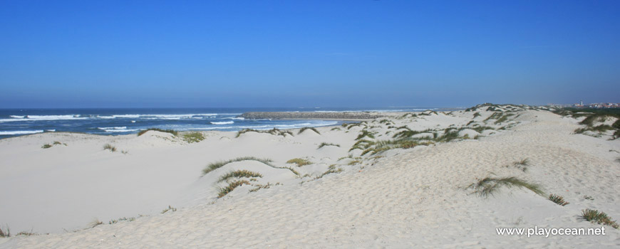 Dunes of Praia da Costinha Beach