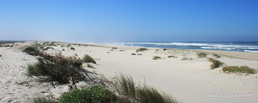 Praia da Costinha Beach