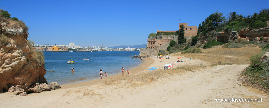 Castelo de São João de Arade