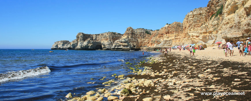 Sargaço na Praia da Marinha