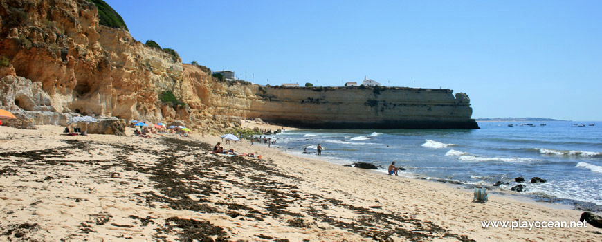 Sargaço na Praia Nova