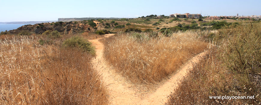 Trails at Praia do Barranco do Martinho Beach