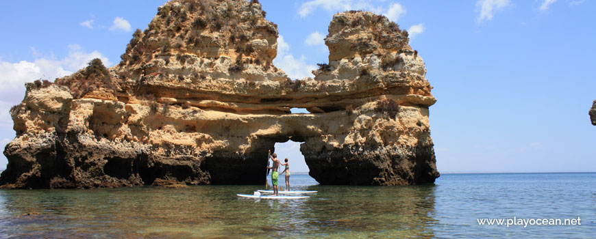 <span lang=en>Stand up paddle boarders</span>