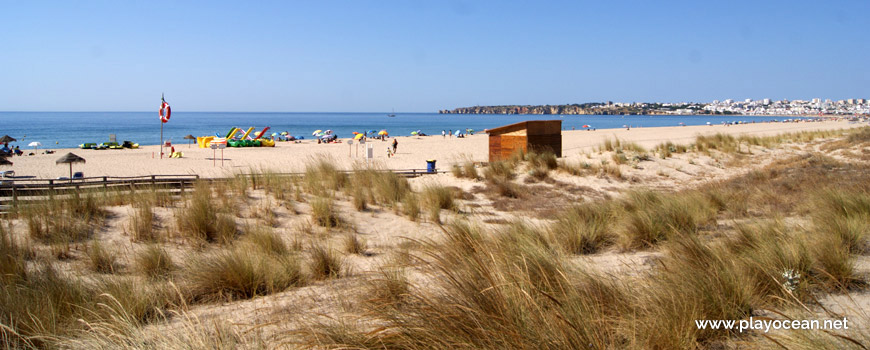 Dunes of Meia Praia Beach