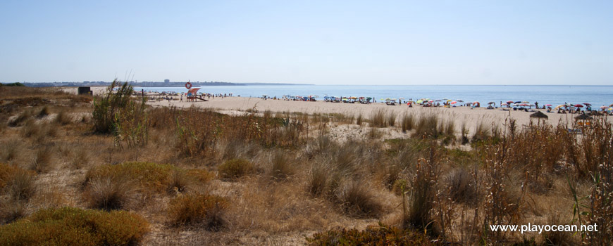 Meia Praia Beach