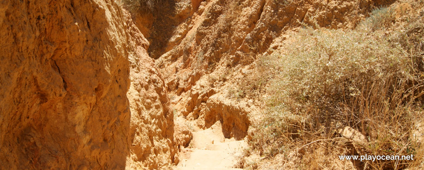 Access to Praia dos Pinheiros Beach