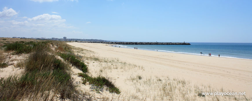 Este na Praia do Vale da Lama