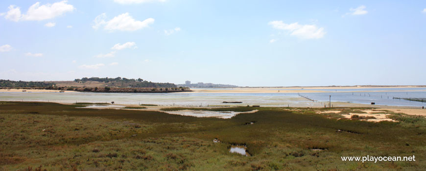 The Alvor Estuary